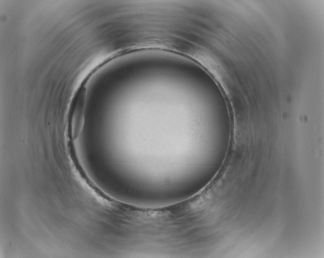 X0000088600949200705251211