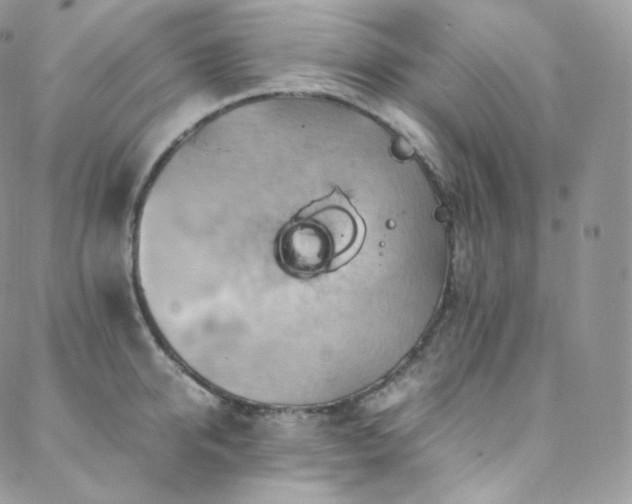 X0000088600950200705251211