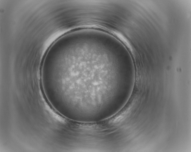 X0000088600951200705251211