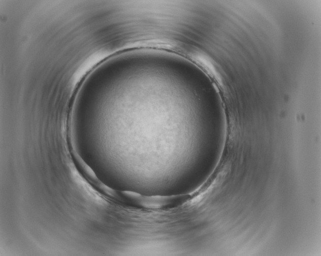 X0000088600952200705251211