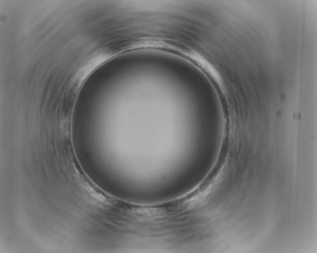 X0000088600953200705251211