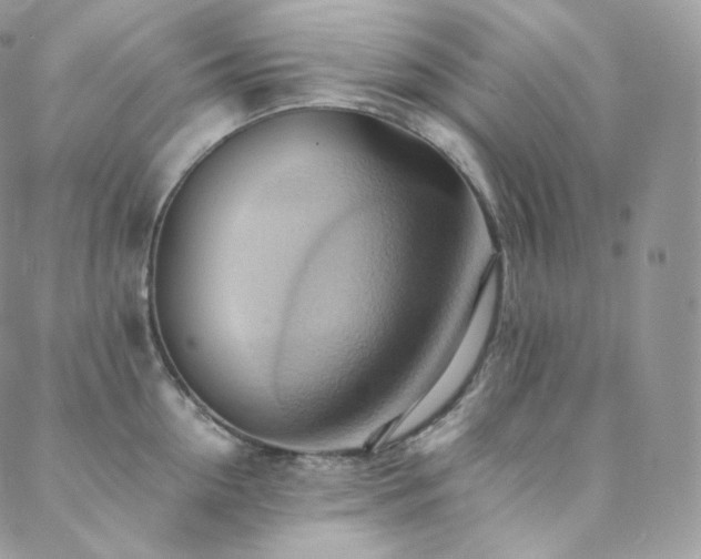 X0000088600954200705251211