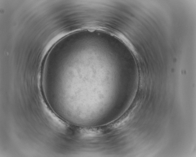 X0000088600955200705251211