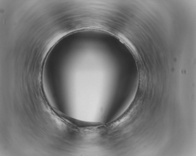 X0000088600956200705251211