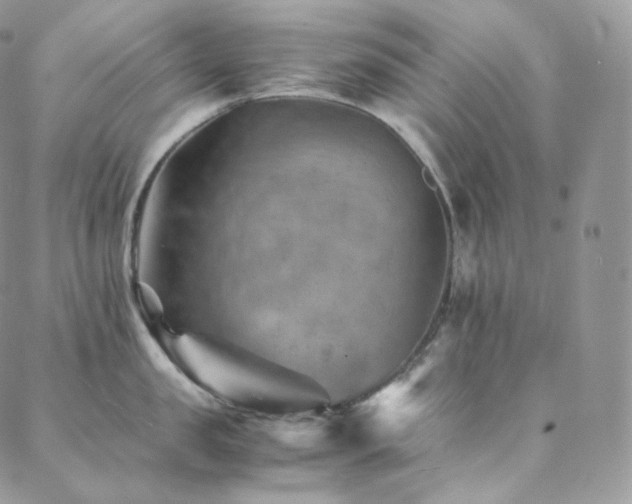 X0000088600957200705251211