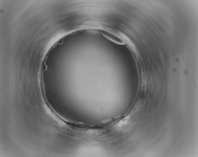 X0000088600958200705251211