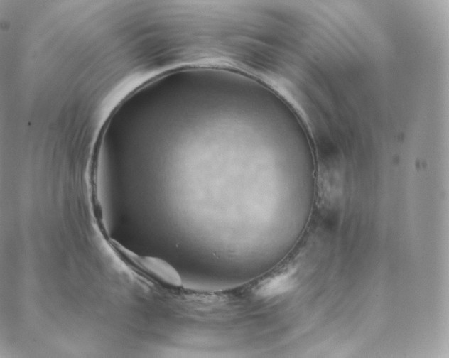 X0000088600959200705251211