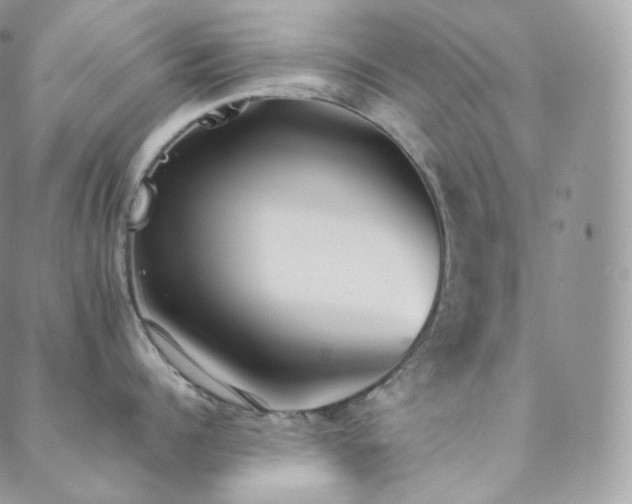 X0000088600960200705251211