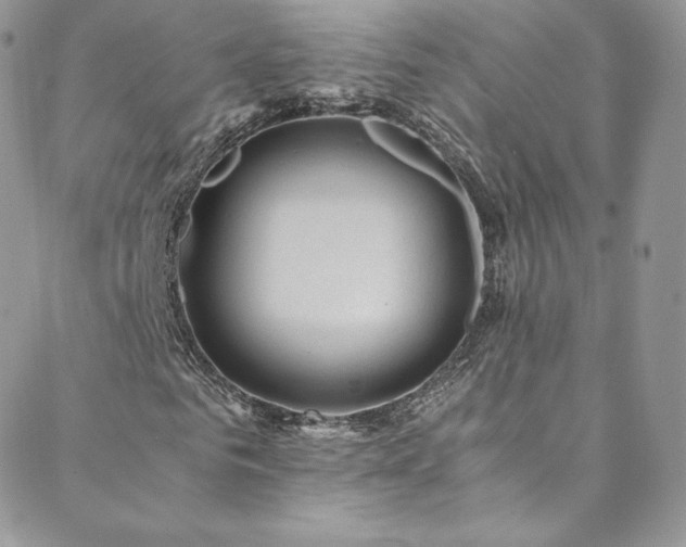 X0000088600961200705251210