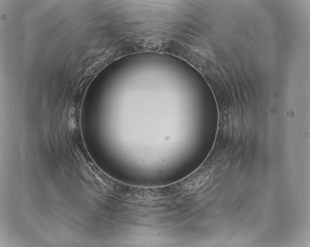 X0000088600962200705251210