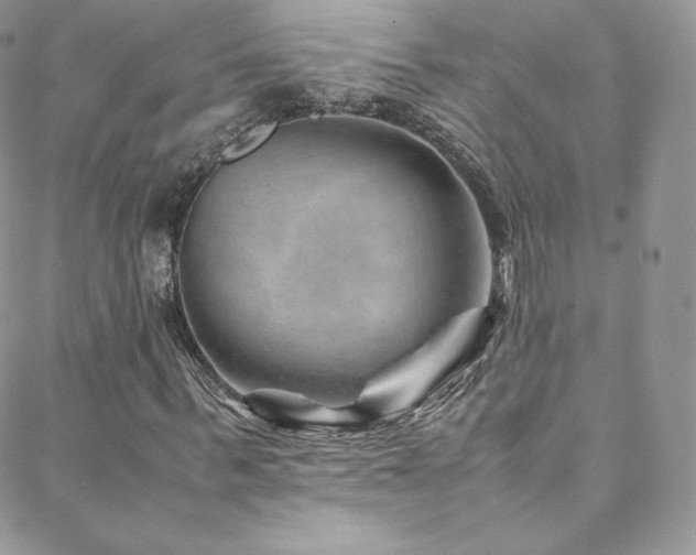 X0000088600963200705251210