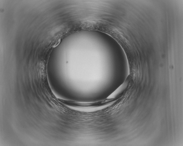 X0000088600964200705251210