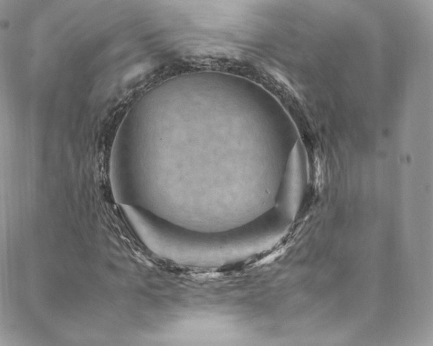 X0000088600965200705251210