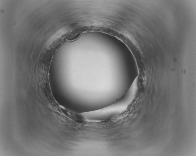 X0000088600967200705251210