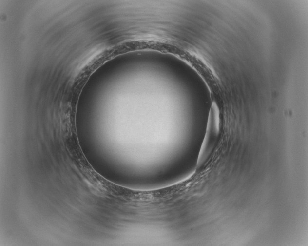 X0000088600968200705251210