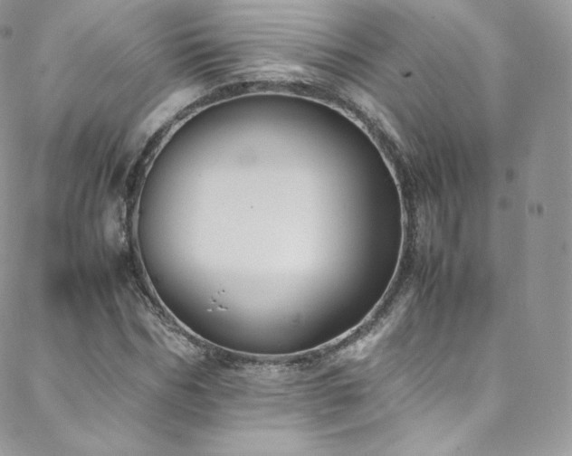 X0000088600970200705251210