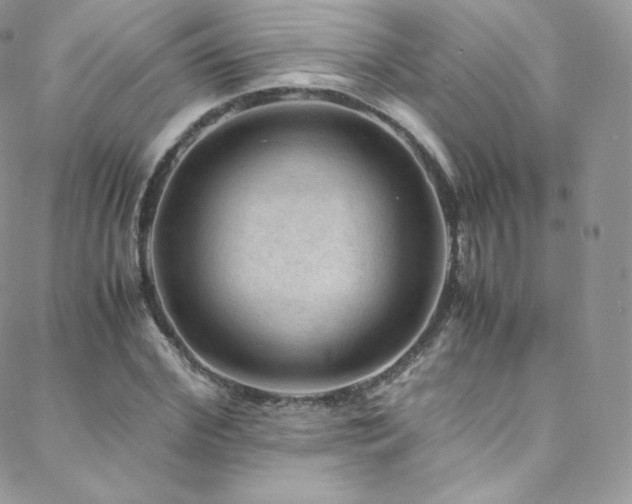 X0000088600972200705251210