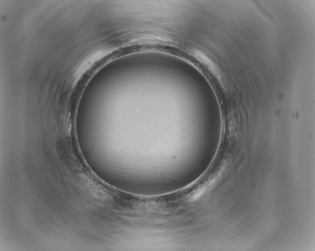 X0000088600973200705251210