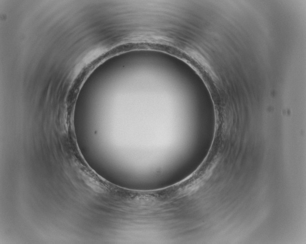 X0000088600974200705251210