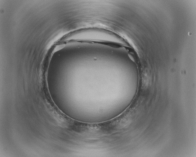 X0000088600975200705251210