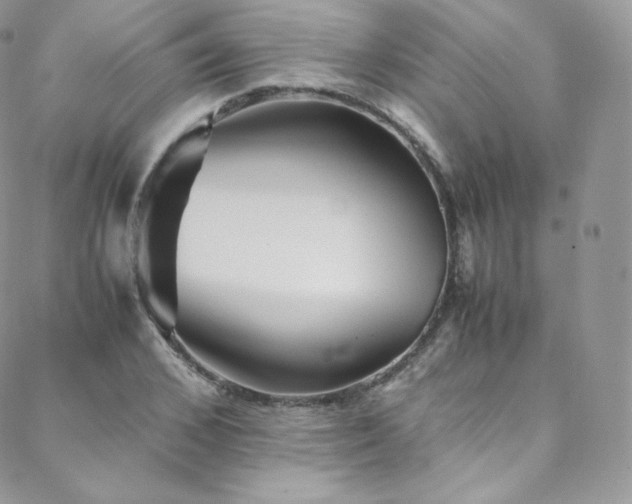 X0000088600976200705251210