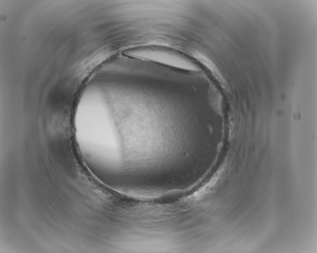 X0000088600977200705251210