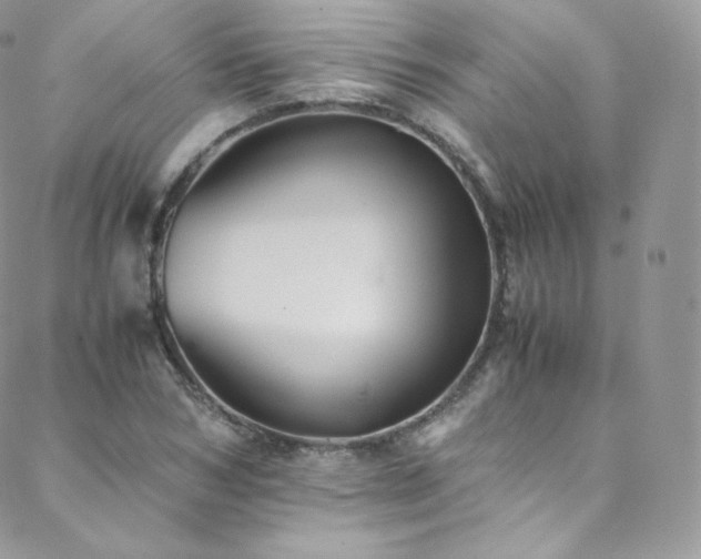 X0000088600978200705251210