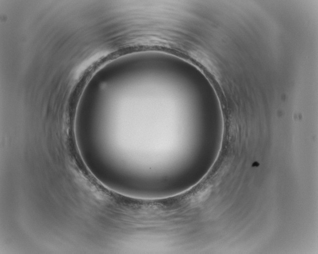 X0000088600979200705251210