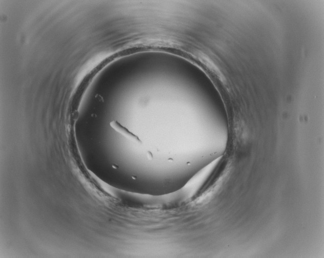 X0000088600981200705251210