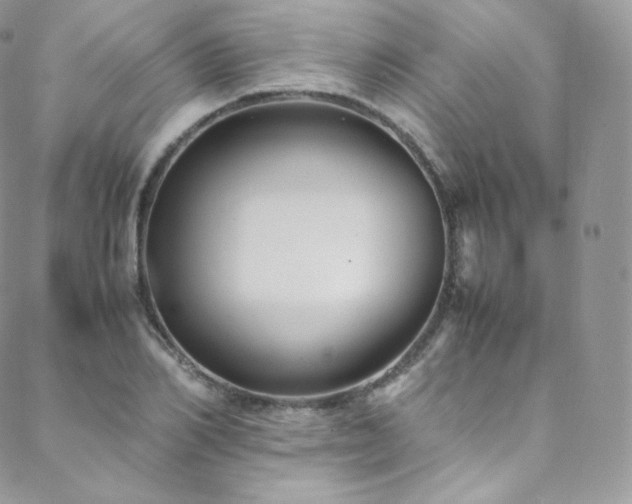 X0000088600982200705251210