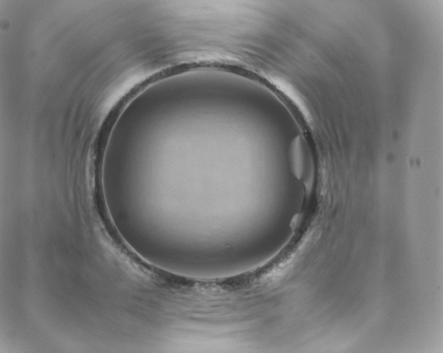 X0000088600983200705251210