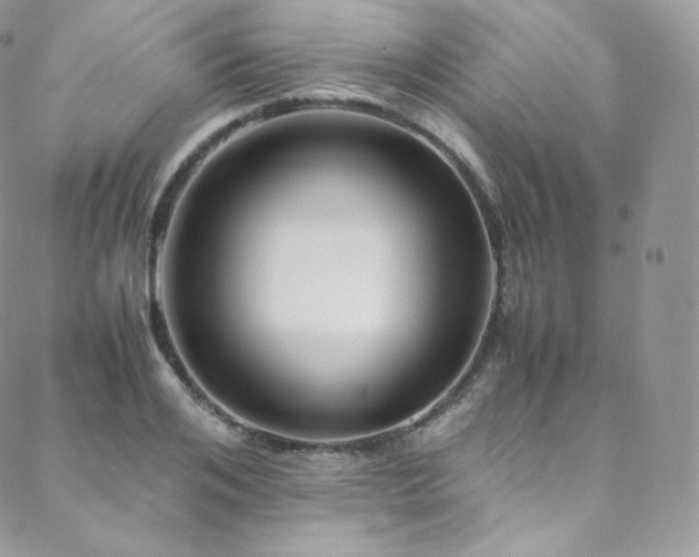 X0000088600984200705251210