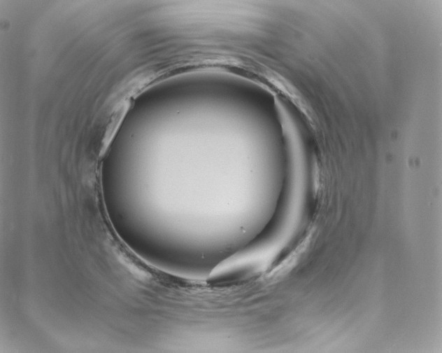 X0000088600985200705251210