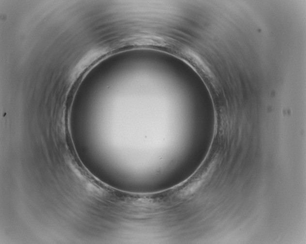 X0000088600986200705251210