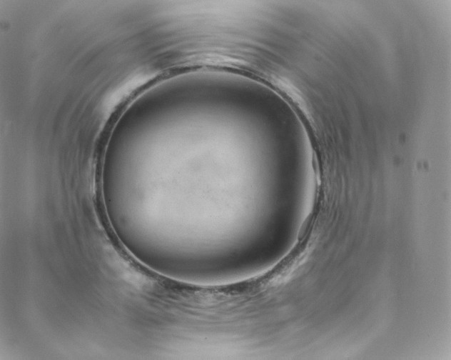 X0000088600987200705251210