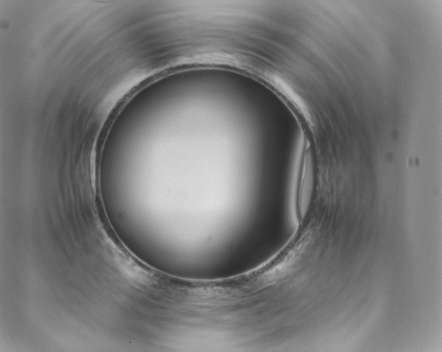 X0000088600988200705251210