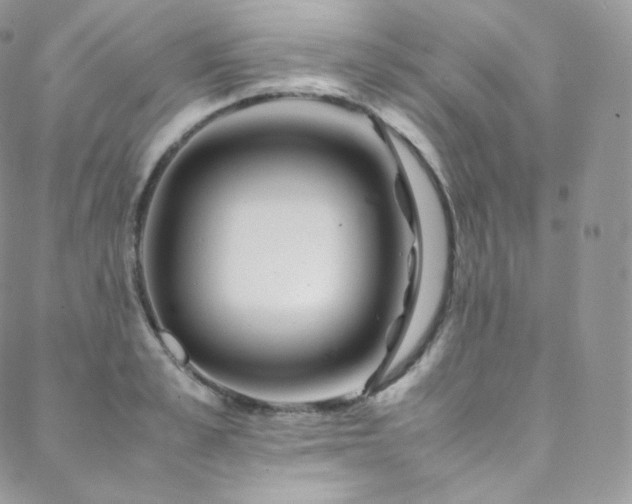 X0000088600989200705251210