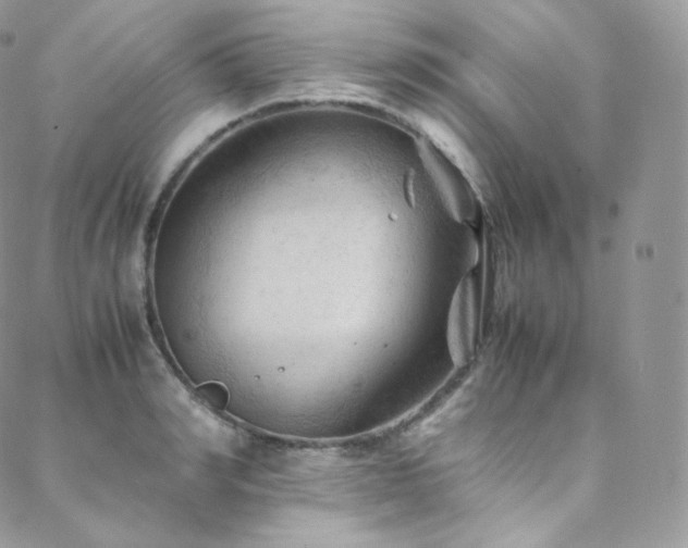 X0000088600990200705251210