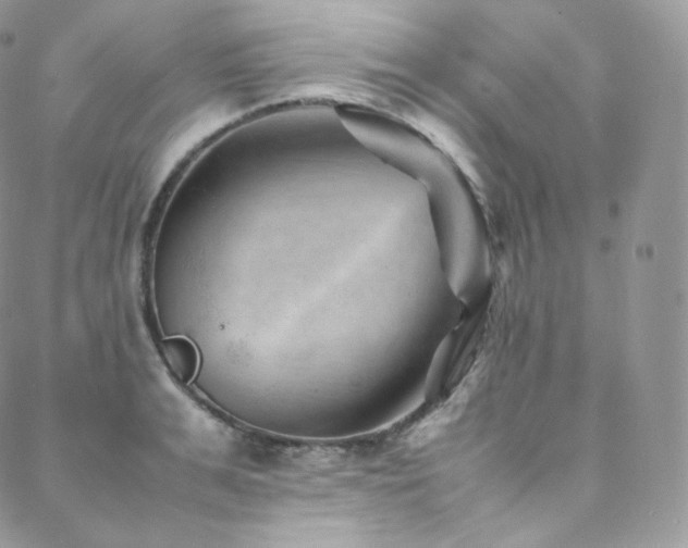 X0000088600991200705251210