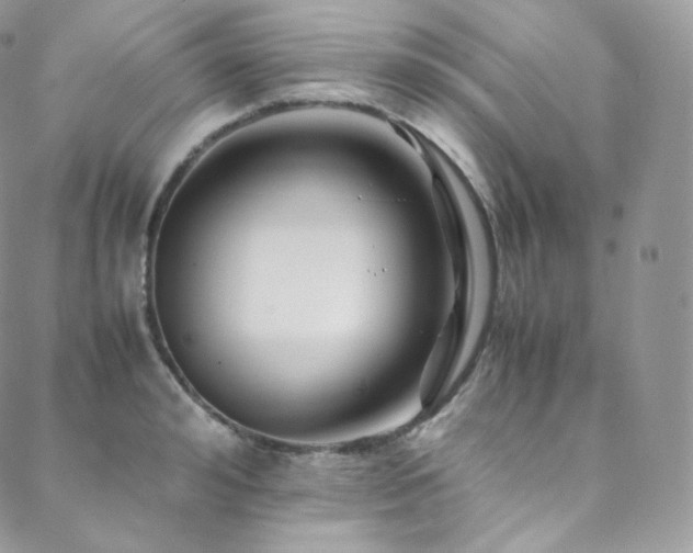 X0000088600992200705251210