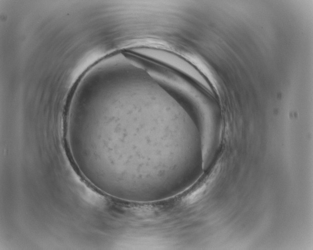 X0000088600999200705251209