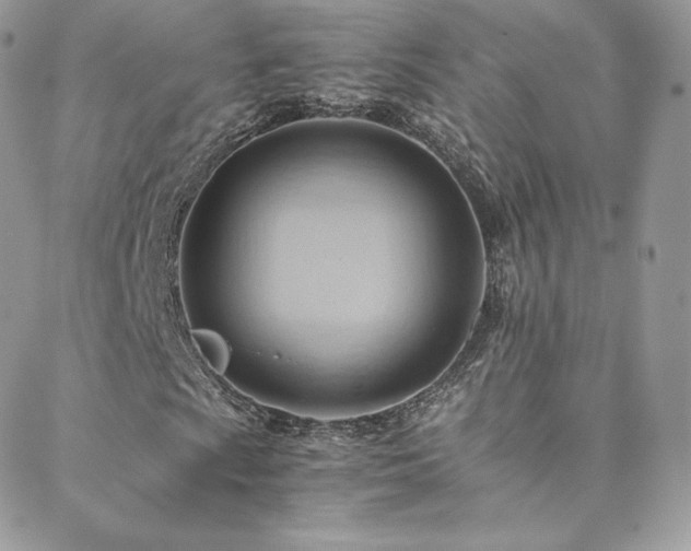 X0000088601009200705251208