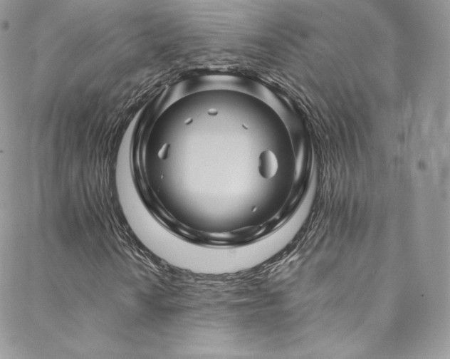 X0000088601010200705251208