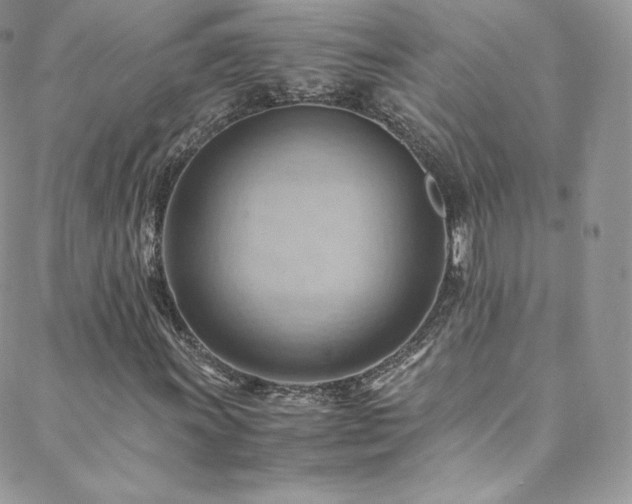 X0000088601011200705251209