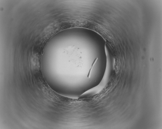 X0000088601058200705251208