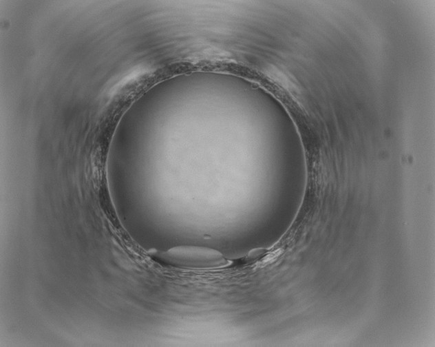 X0000088601063200705251208