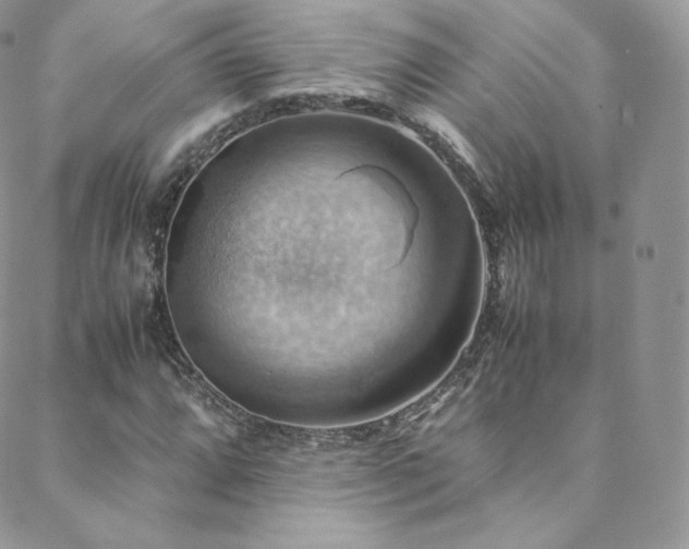 X0000088601064200705251208