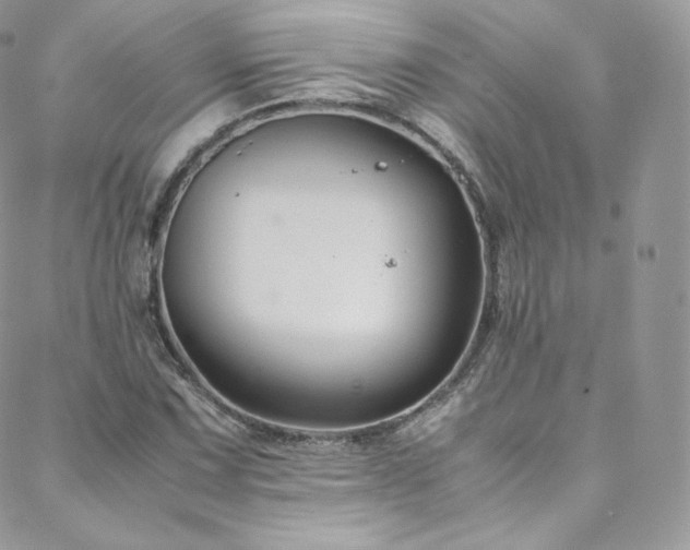 X0000088601067200705251208