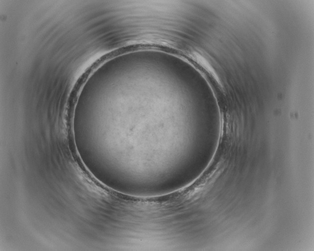 X0000088601068200705251208