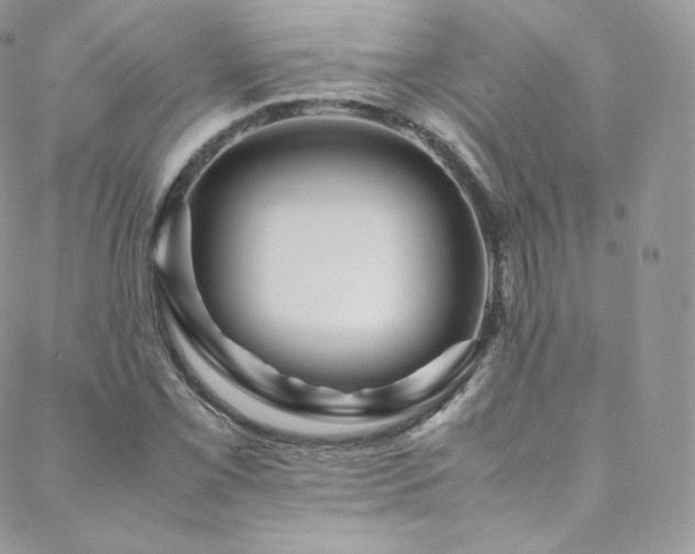 X0000088601069200705251208